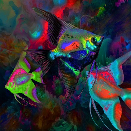 une profondeur lumineuse saisissante